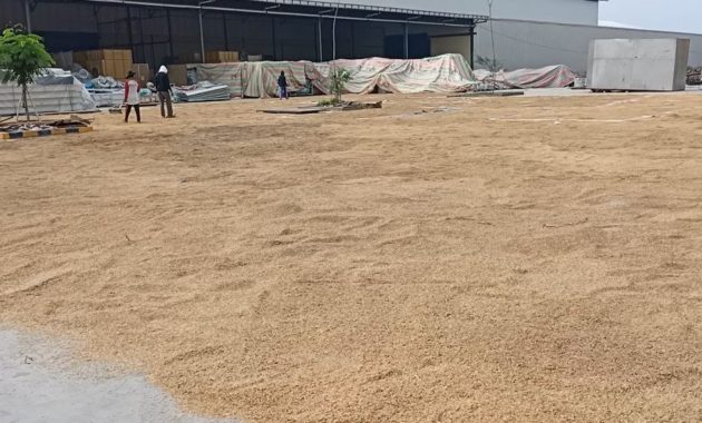 Mengapa Indonesia perlu impor beras?